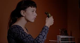 Prizes for summer reading will be awarded at the end of july. Berlin Film Festival 2017 Colo Review The Upcoming