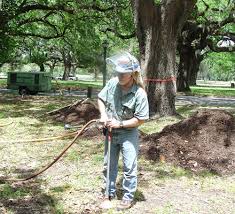 You can become more competitive as a professional arborist by obtaining voluntary certification from organizations such as the international society of arboriculture. Hire An Arborist For Residential Tree Needs