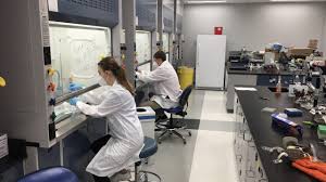 Spotlight: Summer 2020 DSU Research