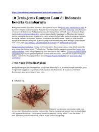 Apa boleh tumbuh di mana www.mynormas.com 2. Materi Rumput Laut