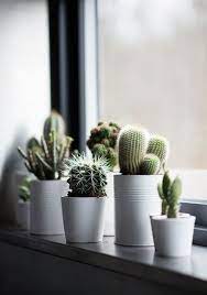 Maybe you would like to learn more about one of these? 45 Window Sill Decoration Ideas Original And Creative Design Ideas