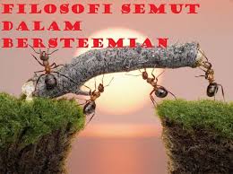 Makanya ada peribahasa yang berbunyi ada gula ada semut. Filosofi Semut Dalam Kehidupan Bersteemian Steemit