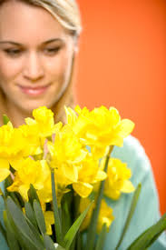 Daffodil Bouquet Stock Photos and Images