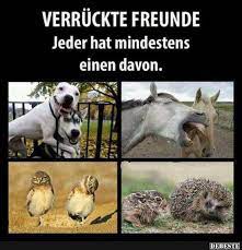 Verruckte Freunde Lustige Bilder Spruche Witze Echt Lustig
