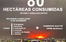 Las autoridades confirmaron que el combate del incendio forestal denominado la engorda, que afecta a quilpué, disminuyó su avance a zonas pobladas, por lo que está totalmente contenido. Pghtvjkk4cgndm