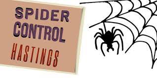 It also includes those who offer vermin control and pest control services in hastings. Pest Control Hastings Affordable Pest Termite Exterminator