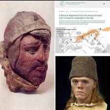 Mosaic Pool Sufetula Tunus ```