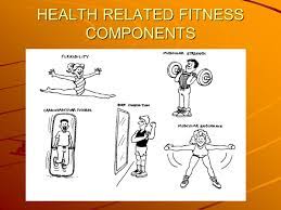 Cardiorespiratory endurance is the ability to carry out prolonged, large muscle, dynamic movements at a moderate to. Health Related Fitness Components Ppt Video Online Download