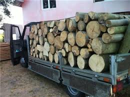 Preț lemne de foc ialomița. Un Metru Ster De Lemn De Foc De Fag Transportat In Plus FaÈÄ De Aviz Confiscat De PoliÈiÈti La Horodnic De Sus Stiri Suceava Stirisuceava Net