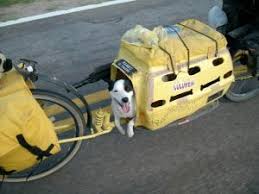 Weber Monoporter Yeee Hooo Biking With Dog Bike Dog Trailer