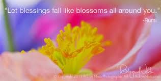 Robyn Nola Gifts Flower Quotes Rumi Quotes Blessed Quotes