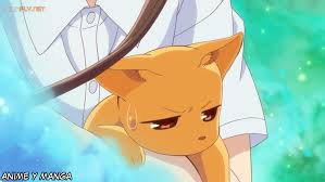 Kyo Transformado En Gato Fruits Basket Anime Fruits Basket Fruits Basket Kyo