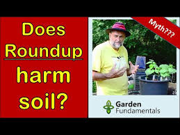 Maybe you would like to learn more about one of these? Often Asked How Soon Can You Plant After Spraying Roundup