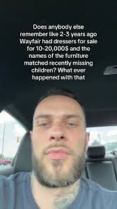 Wayfair Bookcase Missing Children