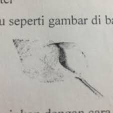 Tifa adalah alat musik tradisional dari maluku yang dikenal juga juga di papua dengan nama yang serupa. Cara Memainkan Alat Musik Tahuri Yg Berasal Dr Maluku Adalah Brainly Co Id