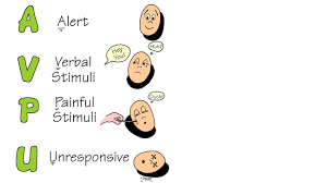 Image result for AVPU Scale