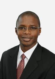 BPL Announces New CEO The Bahamas Power and Light Company Limited (BPL) is  pleased to announce the appointment of its new Chief Executive Officer,  Shevonn Nathaniel Cambridge.