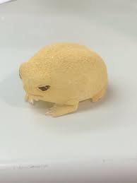 pin by kannsaihu on カエル dinosaur stuffed animal animals dinosaur