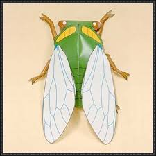New Paper Craft Animal Paper Model Cicada Free Papercraft Download On Papercraftsquare Insect Crafts Cicada Kindergarten Kids Crafts