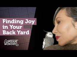 Amy Tan: Bestselling Author of The Joy Luck ClubThe Steven Barclay Agency,  Inc.