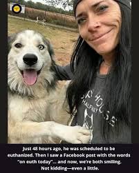 Sorry if it's been posted before