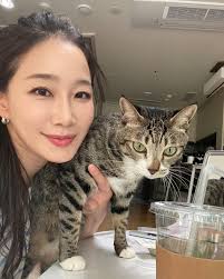 Cats, Coffee & Chaos