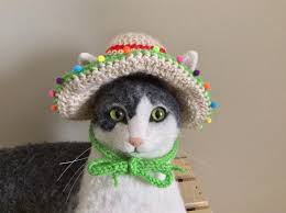 Sombrero Cinco De Mayo Mexican Hat Hats For Cats Cat Hat Etsy Crochet Pet Costumes Cat Costumes Cat Clothes