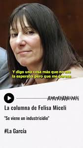 Felisa Micelio Ex Ministra de Economía de Néstor Kirchner predice que se  viene un industricidio en Argentina con el gobierno de Javier Milei