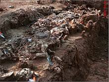 Survivors of the genocide in the eastern bosnian town of srebrenica, mainly women, will on saturday commemorate the 25th anniversary of the. Srebrenica Massacre Wikipedia