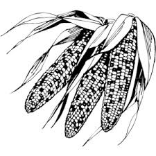 Black And White Outline Corn Clipart Corn Indian Clipart Cliparts Of Corn Indian Free Download Wmf Eps Emf Svg Png Gif Formats Clip Art Free Clip Art Free Download