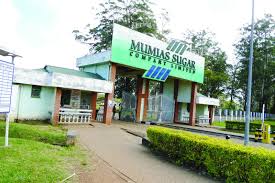 The town has an urban population of 116,358 (2009 census). Kcb Group Places Mumias Sugar Firm Under Administration