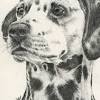 Start drawing the contour of a muzzle, continue with ears, nose and a tongue hanging out of his mouth. 1