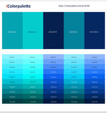 Image result for Robin Egg Blue 2018 Fleet