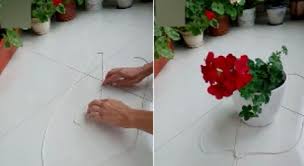 Bizde çiçekseverlerde ve çiçekçilerde (gördüğüm kadarıyla) genelde dikim esnasında kökler saksı harcından altta, büyüme noktaları ve kesilen çiçek saplarının ise saksı. Saksi Askiligi Nasil Yapilir Video 7