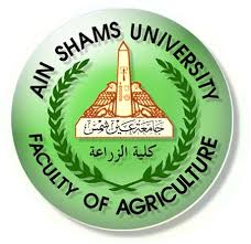 Department Of English Language Literature Arts At Ain Shams University Home Facebook
