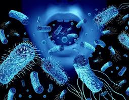 Image result for chancroid