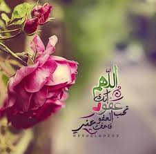 اللهم انك عفو تحب العفو فاعفو عنا Beautiful Quran Quotes Rose Flowers