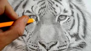 Willie hsu realizza disegni in 3d usando solo la matita. 90 Disegni A Matita Fra I Piu Belli E Sorprendenti Con Svariati Soggetti
