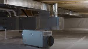 You are in a green grass state so a dehumidifier would be a wise choice for your basement. The Best Dehumidifiers For Basements In 2021 Householdme