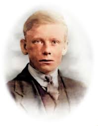 The Patriotic Traynors & the War of Independence by Maura Murphy Gibson