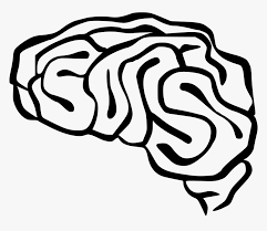 Using an rss reader, you can view data feeds from various news sources. Brains Clipart Easy Brain Clip Art Hd Png Download Transparent Png Image Pngitem