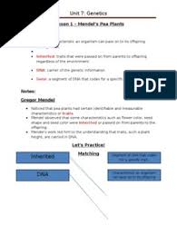 Get instant access to all materials. Unit 7 Study Guide Answers Pdf Zygosity Dominance Genetics