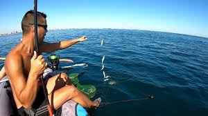 Nava de pescuit flamingo 4 la pescuit pe marea neagra 2012sistemul de pescuit prin traulare. Cu Caiacul Dupa Stavrizi Sonar Deeper Pro Pescuit La Marea Neagra Youtube