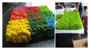 Impressionen Vom Moosartigen Workshop Am 26 05 2018 Mit Theorie Und Praxistraining Zur Herstellung Von Moosbildern Und Mooswanden Island Moos Mooswand Moos