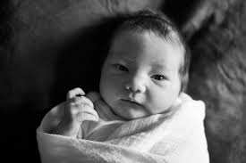 Jenny Stein, Photographer