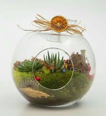 Mahmut Kirnik 2206 Jardin De Hadas Arreglos Con Suculentas Jardineria