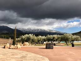 Maybe you would like to learn more about one of these? Pin De Musikayser Es En Red Red Wine Hacienda Senorio De Nevada