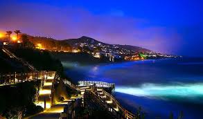 We did not find results for: Laguna Beach At Night 7671 Beach At Night Laguna Beach Laguna Beach California
