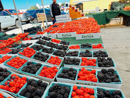 9 Reasons Why You Should Visit Torrance, California Instead of L.A.