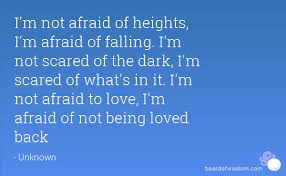 I M Not Afraid Of Heights I M Afraid Of Falling I M Not Scared Of The Dark I M Scared Of What S In It I M Not Scared To Love Scared Of The Dark